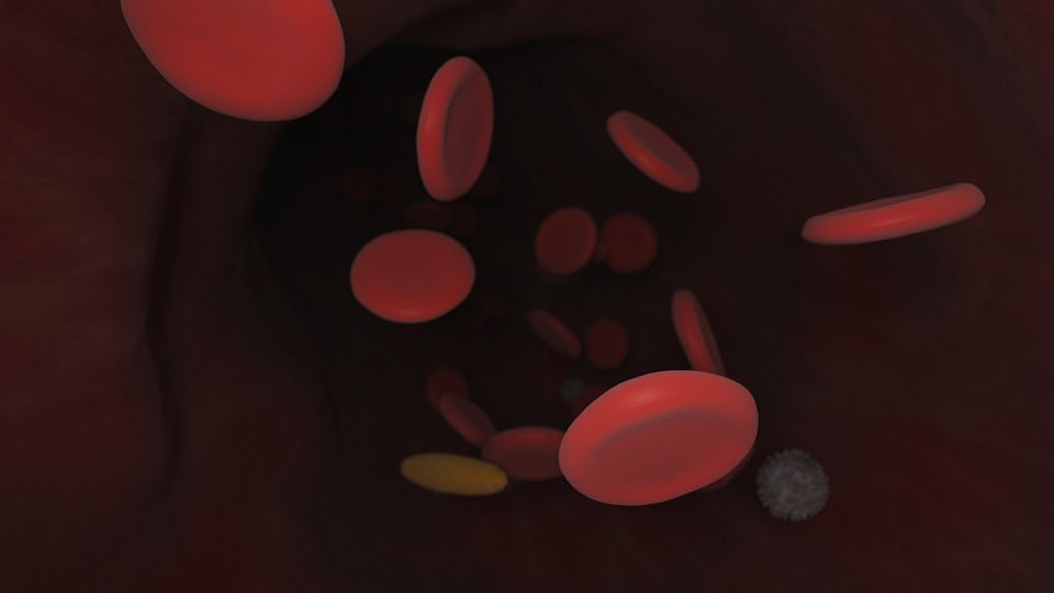 blood